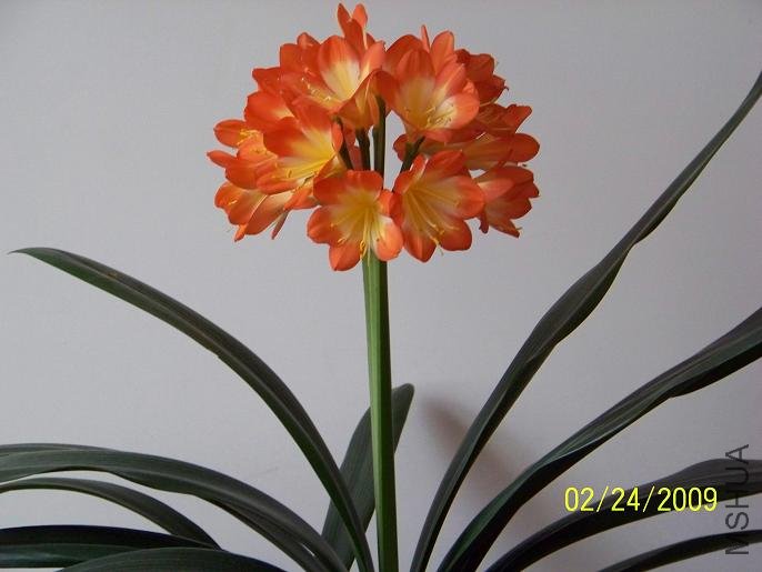 100_1266.JPG