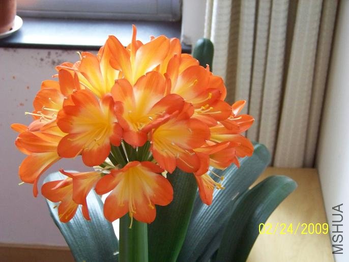 100_1272.JPG