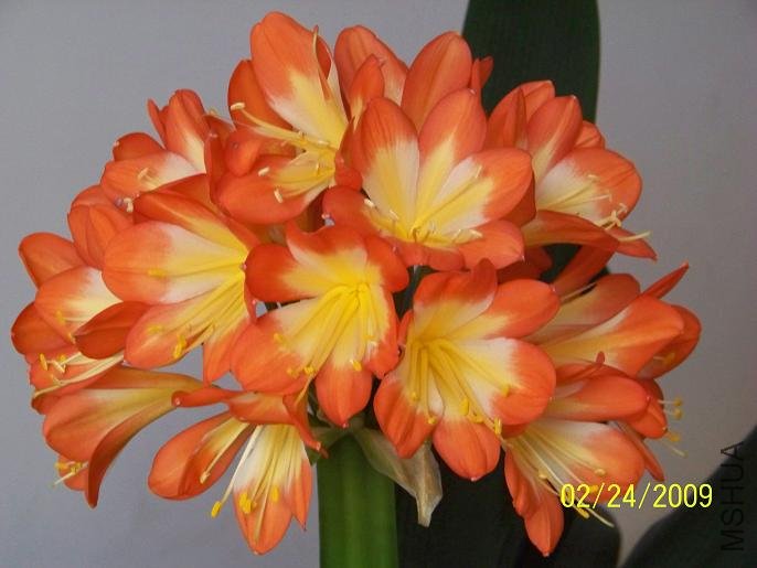 100_1269.JPG