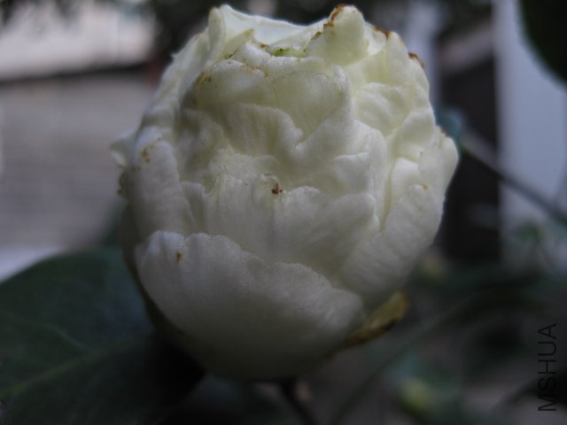 ��Ƭ 016.jpg
