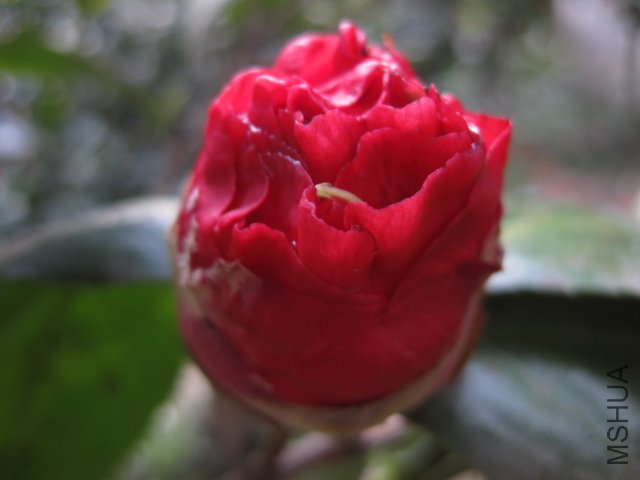 ��Ƭ 015.jpg