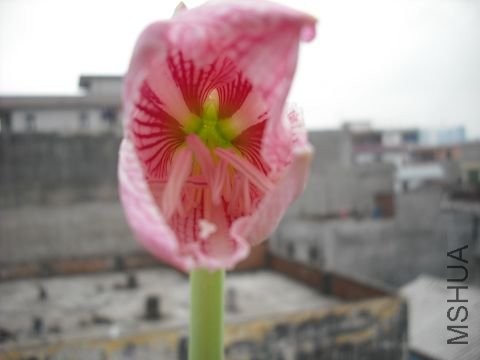 DSCF0006.jpg