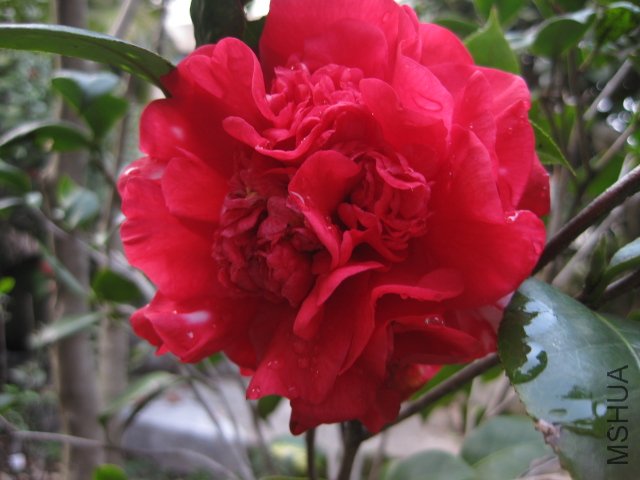 ��Ƭ 017.jpg