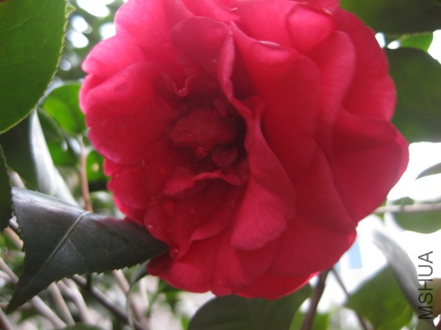 ��Ƭ 020.jpg