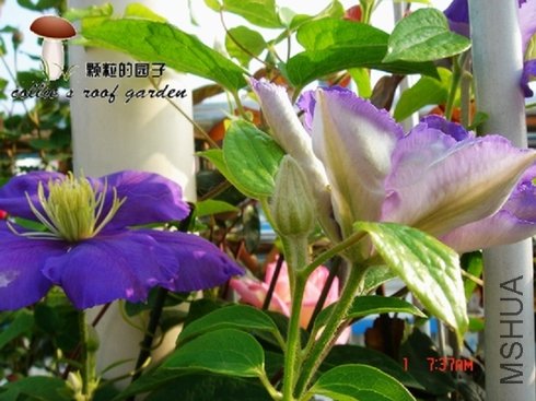 ����������