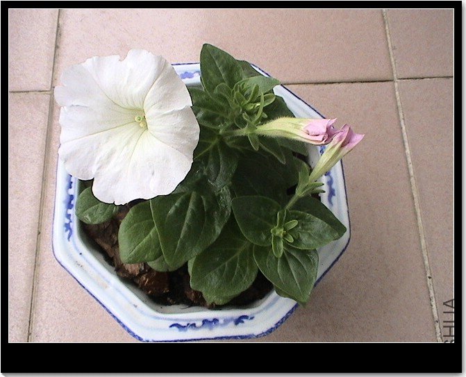 ���ϵ�ʱ��