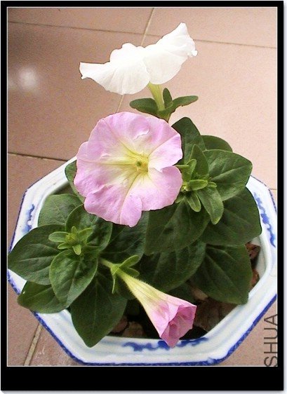 �ӽ�����Ϳ���