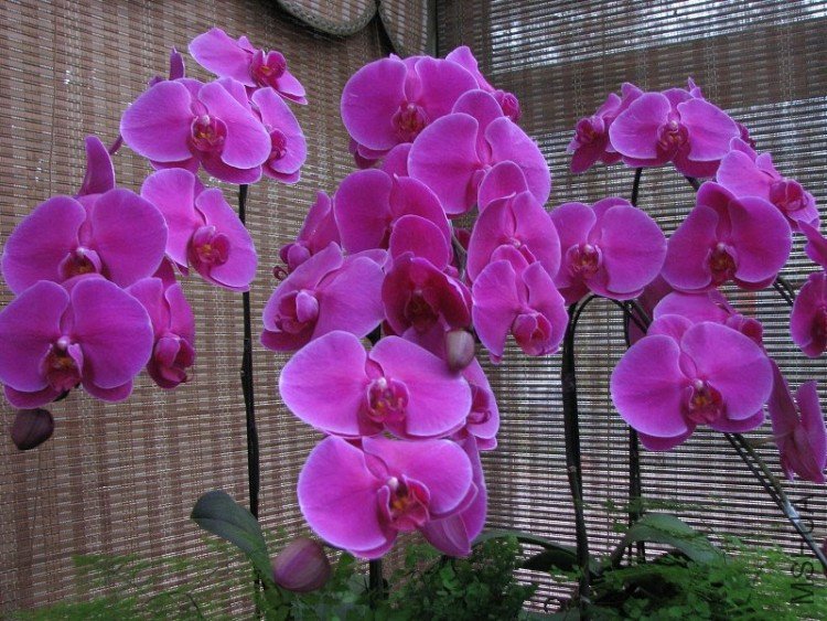 2009����ɽ����չ 029�޸�.jpg