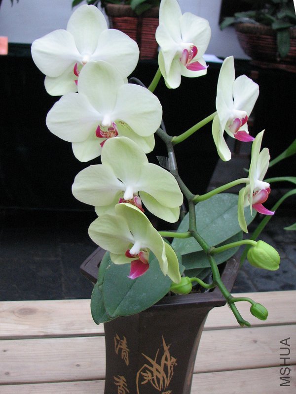 2009����ɽ����չ 046�޸�.jpg