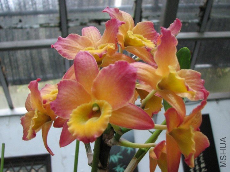 2009����ɽ����չ 051�޸�.jpg