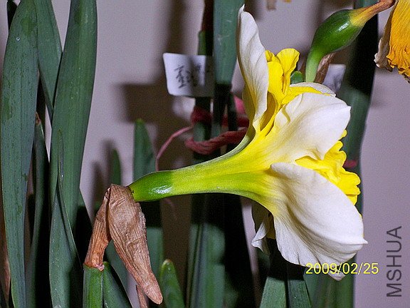 ��Ƭ 613(576).jpg