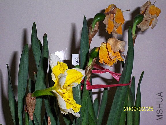 ��Ƭ 616(576).jpg