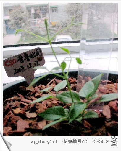 ��Ƭ20090227 014.jpg