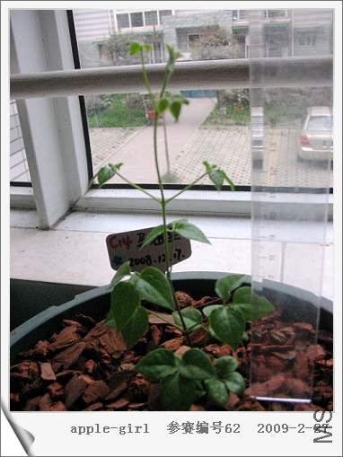 ��Ƭ20090227 012.jpg