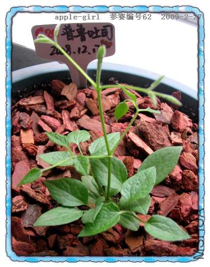 ��Ƭ20090227 015.jpg