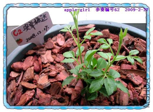 ��Ƭ20090227 017.jpg