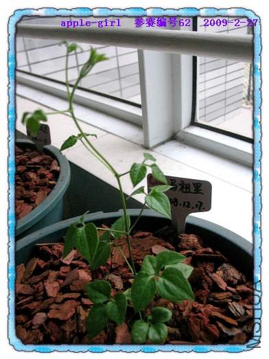 ��Ƭ20090227 016.jpg