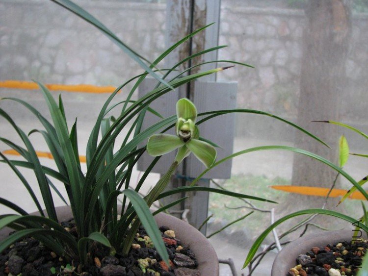 2009����ɽ����չ 148�޸�.jpg