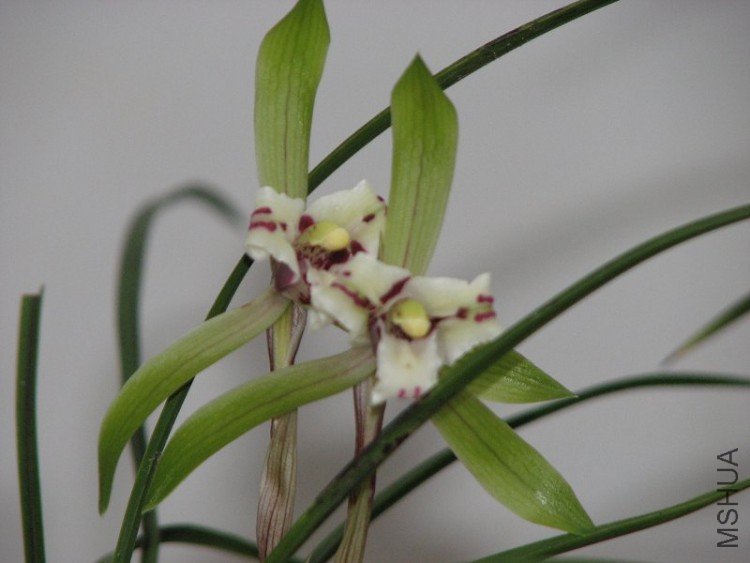 2009����ɽ����չ 158�޸�.jpg