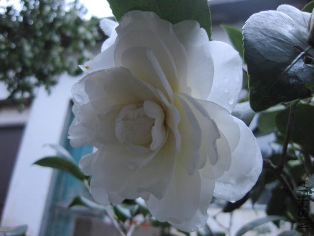 ��Ƭ 068.jpg