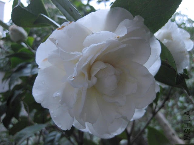 ��Ƭ 069.jpg