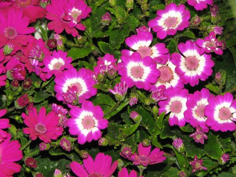 2009����ɽ����չ 3196�޸�.jpg