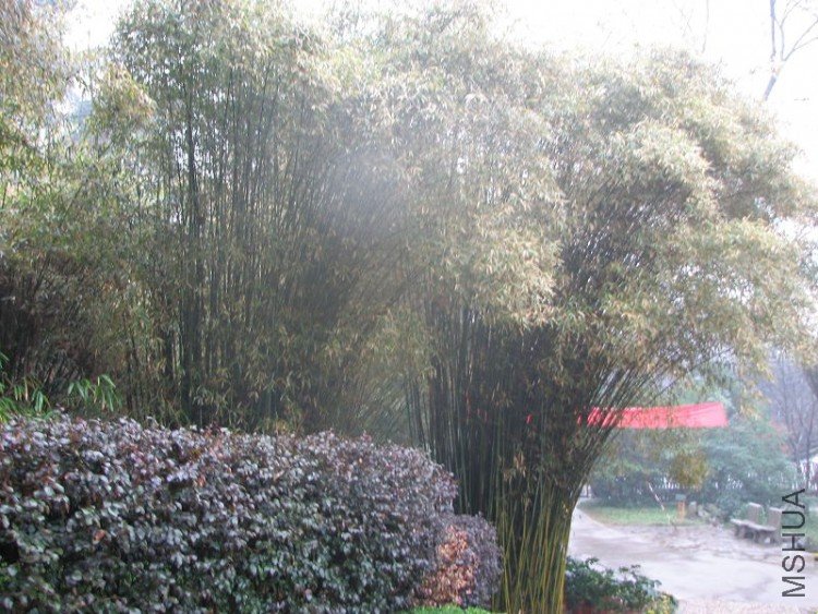 2009����ɽ����չ 3210�޸�.jpg