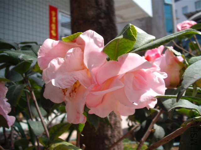 ����
