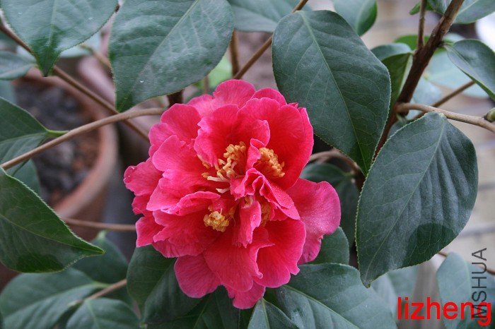 �ֿ���Щ��