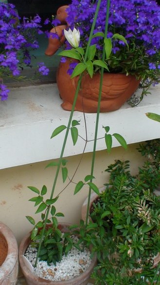 ��������ȫ����.