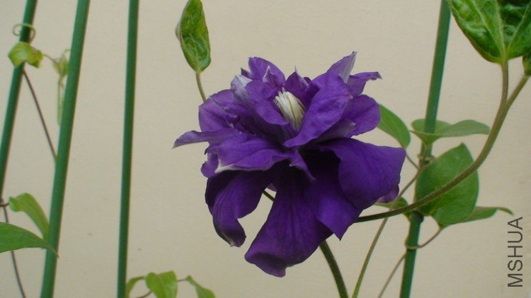 ���ǲ������д,�������Ļ�����!û�뵽�տ������������ĺ��,����Ϊ�������������չ����.