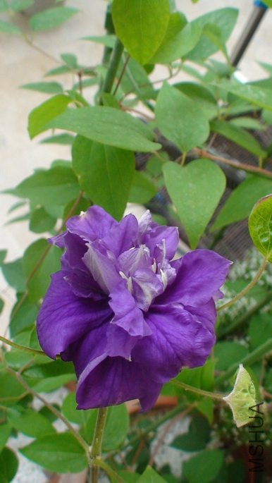 �����Ƕ��ٿ�����ĺ��.�������˾���!