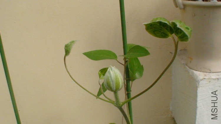 �����Ļ���.(2-22��)