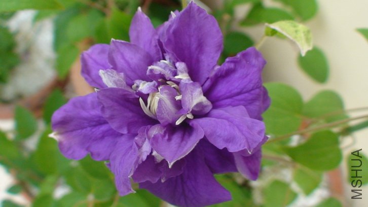 �����Ƕ���������,��ô����ô��!(2-28��)