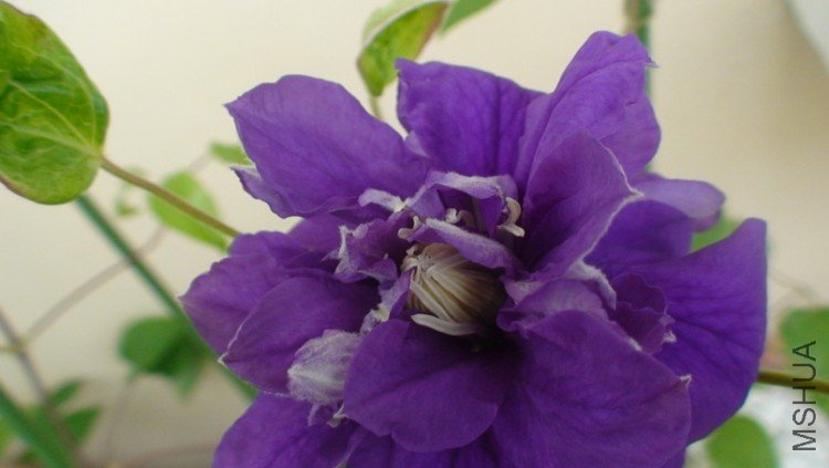 �ٿ�������ĸ���������д.��������?���ﻹû��,���Ǹտ��Ļ���,�������ܲ�ͬ.