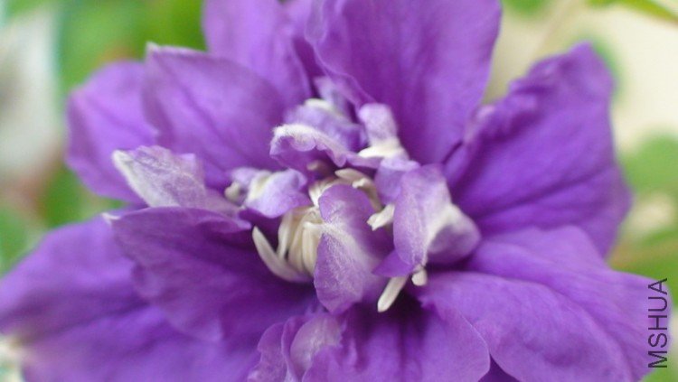 �����������д.(2-28��)