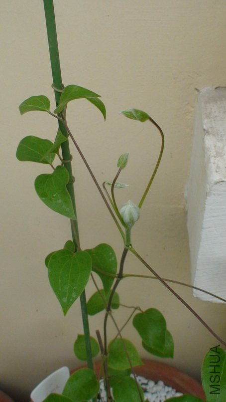 ����һ��һ����.(2-15��)