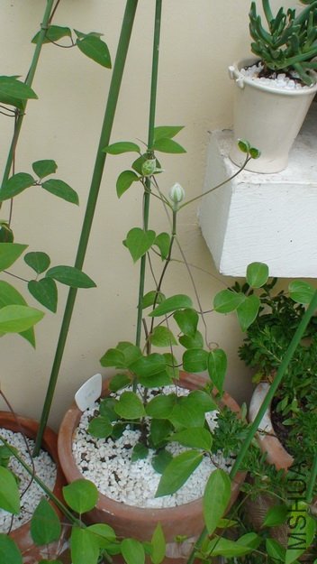 �ֹ�������, ���������º��������.����ϸ�ȫ����. �Դ�����, ����û�г���.(2-19��)