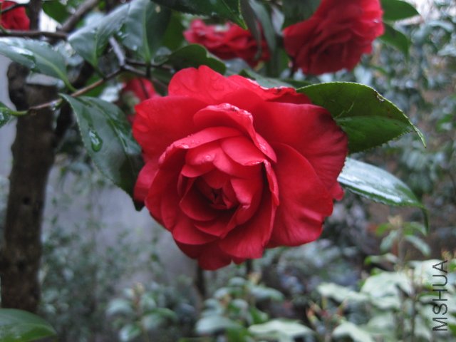 ��Ƭ 024.jpg