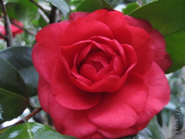 ��Ƭ 023.jpg