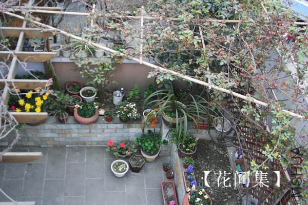 IMG_2124 ����.jpg