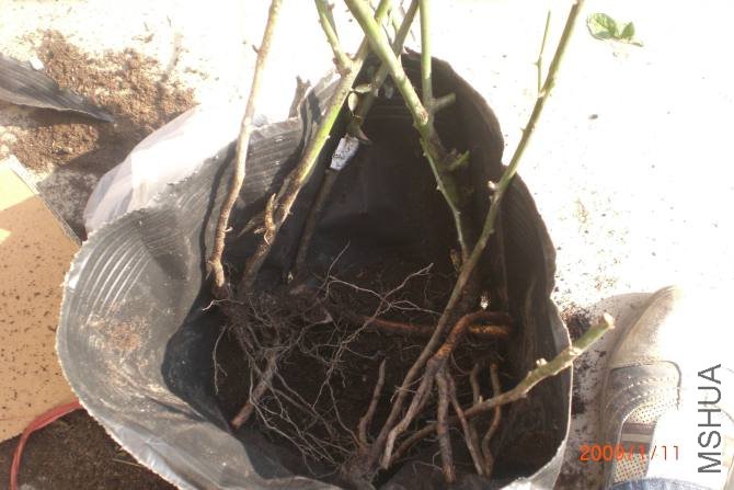 ��ܴ����гɶ���