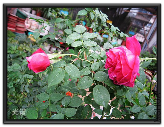 ��Ƭ 039.jpg