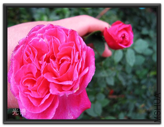 ��Ƭ 040.jpg