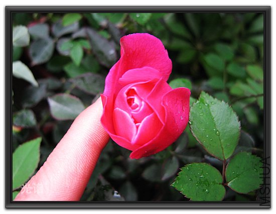 ��Ƭ 037.jpg