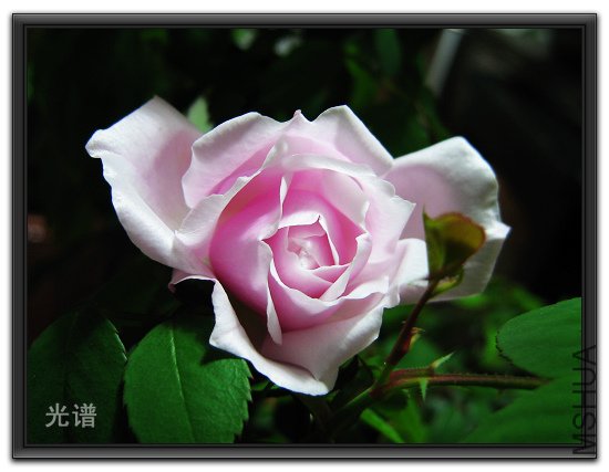 ��Ƭ 056.jpg