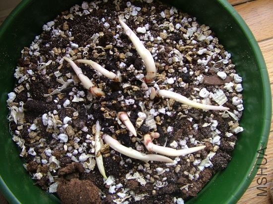 �������������ٺ�������˵�ˡ�