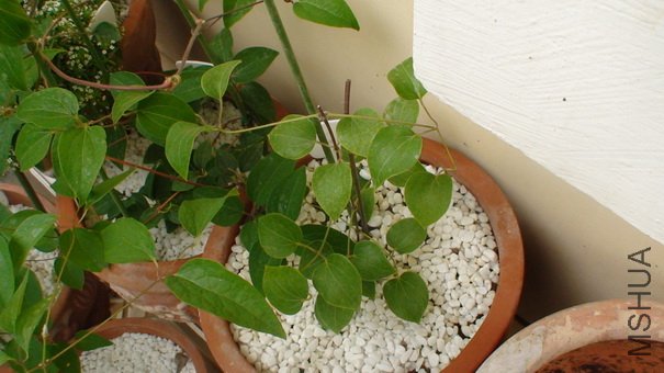 �������ÿ��˵��ҵĿ�����, �������ͳ����������...��ʣ��������, ϣ�������ø�, ���쿪�û�.