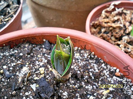 ��Ƭ 290(450).jpg