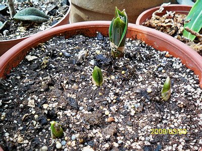 ��Ƭ 297(400).jpg